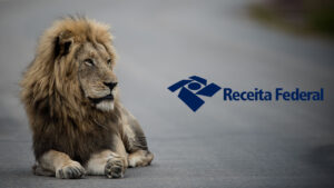 Orientações para a Declaração do Imposto de Renda em 2024